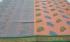 SAREES COIMBATORE WITH BLOUSE